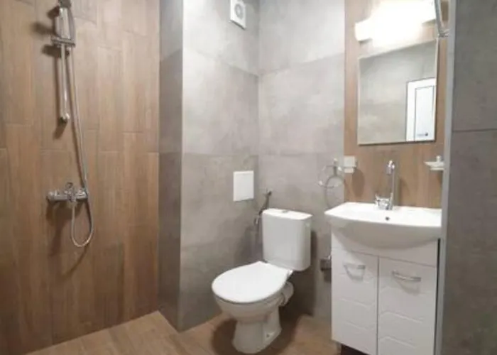 - пролет 로제넷츠